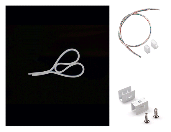 The WINT side bend neon LED lights, a bottom power feed kit, and mounting clips.