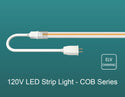 120V Dimmable LED Strip Light COB 0-10ft - 2