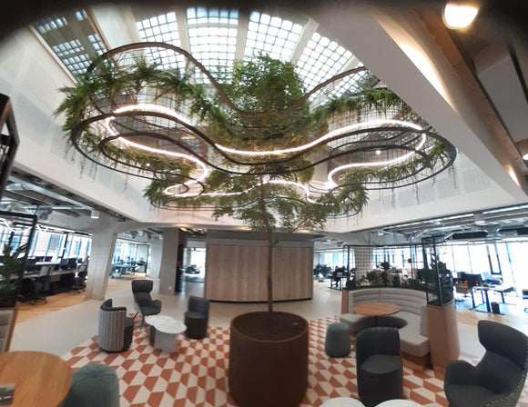 360° LED Neon Flex - Rigid - Single Color - Dry Location - 12V