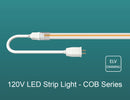 120VAC LED Strip Lights are ELV dimmer compatible and feature multiple power cable options.