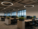 Architectural Circle Linear Light installed in a modern open office, featuring suspended circular LED fixtures that provide uniform architectural lighting for commercial workspaces by GL LED US LIGHTING.