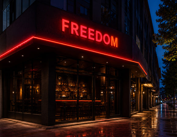 Commercial storefront signage illuminated by LED Mini Module - Red, creating vibrant red channel letter lighting for retail branding and architectural facade applications.