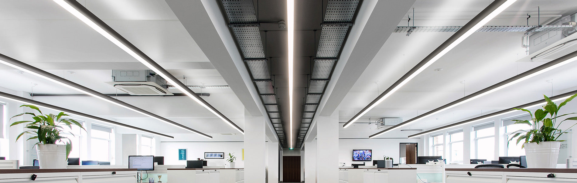 Spacious and brightly lit modern office interior with linear LED lights embedded in the ceiling, reflecting on the glossy white desks below. The room is lined with large windows, and green potted plants add a touch of nature to the workplace. The office design combines a minimalist aesthetic with a functional layout, featuring ergonomic chairs and organized workstations.