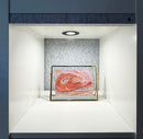 Recessed LED Puck Light installed in a display cabinet, providing focused overhead lighting for merchandise and retail display applications.