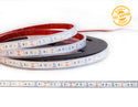 LED Strip Light Free Samples - 19