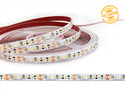 LED Strip Light Free Samples - 15