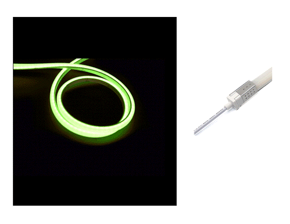 The 3D neon LED lights and a rear power feed kit.