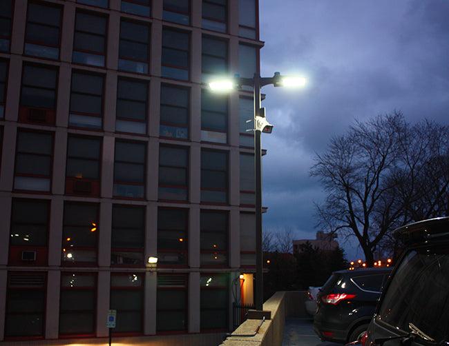 LED Shoebox Lights installed in an exterior parking lot of a building.